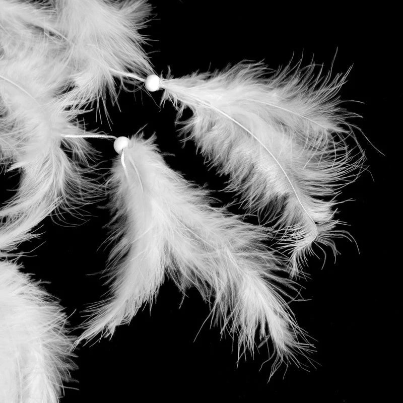 Home Decorations Wedding Decoration Feathers Ifrah Souq